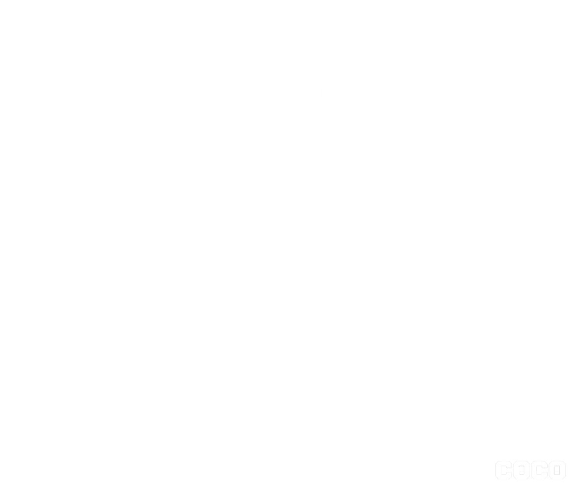 WASHED COCO 6.0 T-SHIRT
